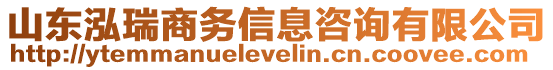 山東泓瑞商務信息咨詢有限公司