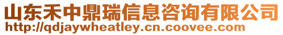 山東禾中鼎瑞信息咨詢有限公司