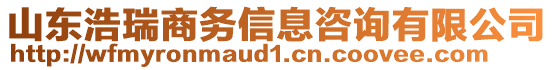 山東浩瑞商務(wù)信息咨詢(xún)有限公司