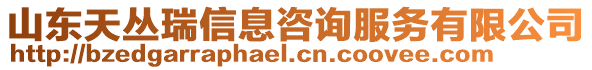 山東天叢瑞信息咨詢服務有限公司