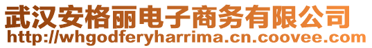 武漢安格麗電子商務有限公司
