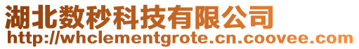 湖北數(shù)秒科技有限公司