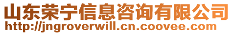 山東榮寧信息咨詢有限公司