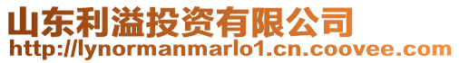 山東利溢投資有限公司