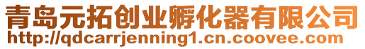 青島元拓創(chuàng)業(yè)孵化器有限公司