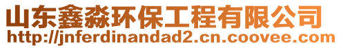 山東鑫淼環(huán)保工程有限公司