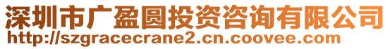 深圳市廣盈圓投資咨詢有限公司