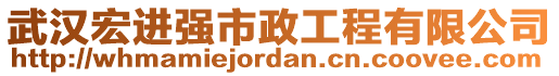 武漢宏進(jìn)強(qiáng)市政工程有限公司