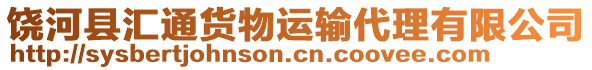 饶河县汇通货物运输代理有限公司