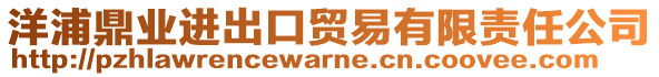 洋浦鼎業(yè)進(jìn)出口貿(mào)易有限責(zé)任公司