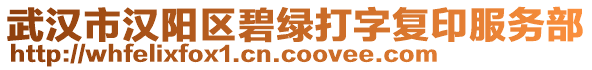 武漢市漢陽區(qū)碧綠打字復(fù)印服務(wù)部