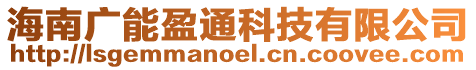 海南廣能盈通科技有限公司