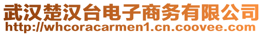 武漢楚漢臺電子商務有限公司