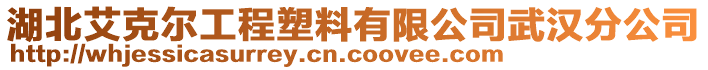 湖北艾克爾工程塑料有限公司武漢分公司