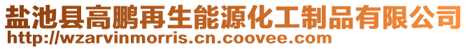 鹽池縣高鵬再生能源化工制品有限公司