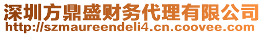 深圳方鼎盛財(cái)務(wù)代理有限公司