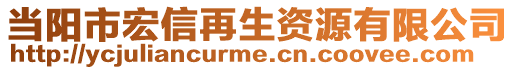 當(dāng)陽市宏信再生資源有限公司