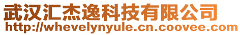 武漢匯杰逸科技有限公司