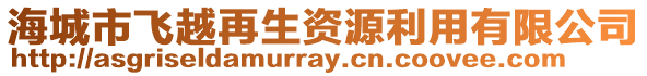 海城市飛越再生資源利用有限公司