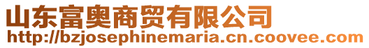 山東富奧商貿(mào)有限公司