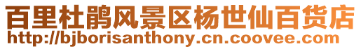 百里杜鵑風(fēng)景區(qū)楊世仙百貨店