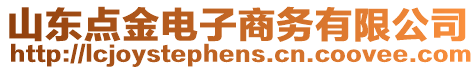 山東點金電子商務有限公司