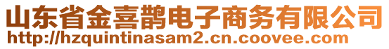 山東省金喜鵲電子商務(wù)有限公司