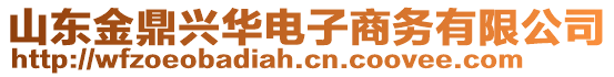 山東金鼎興華電子商務(wù)有限公司