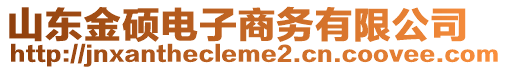 山東金碩電子商務(wù)有限公司