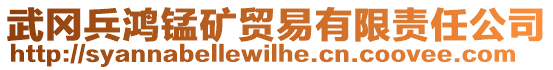 武岡兵鴻錳礦貿(mào)易有限責(zé)任公司