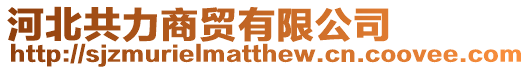 河北共力商貿(mào)有限公司
