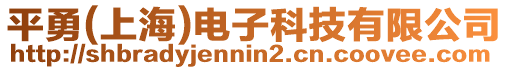 平勇(上海)電子科技有限公司