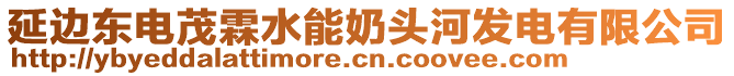 延邊東電茂霖水能奶頭河發(fā)電有限公司