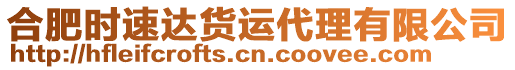 合肥時速達貨運代理有限公司