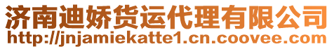 濟(jì)南迪嬌貨運(yùn)代理有限公司