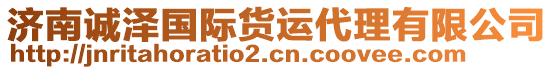 濟(jì)南誠澤國際貨運代理有限公司