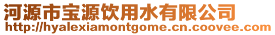 河源市寶源飲用水有限公司