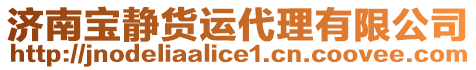 濟(jì)南寶靜貨運(yùn)代理有限公司