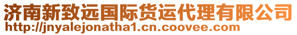 濟(jì)南新致遠(yuǎn)國(guó)際貨運(yùn)代理有限公司