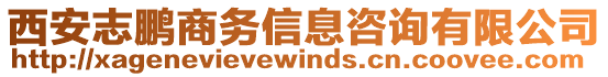 西安志鵬商務信息咨詢有限公司