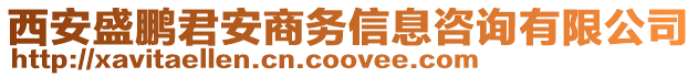 西安盛鵬君安商務(wù)信息咨詢有限公司