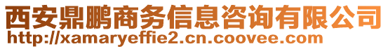 西安鼎鵬商務信息咨詢有限公司