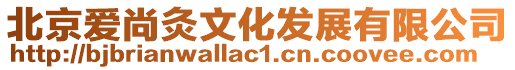 北京愛尚灸文化發展有限公司