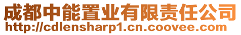 成都中能置業有限責任公司