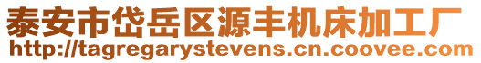 泰安市岱岳區源豐機床加工廠