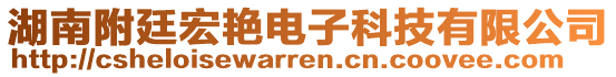 湖南附廷宏艷電子科技有限公司