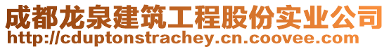 成都龍泉建筑工程股份實業公司