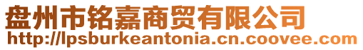 盤州市銘嘉商貿有限公司