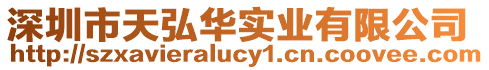 深圳市天弘華實(shí)業(yè)有限公司