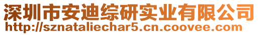 深圳市安迪綜研實業有限公司